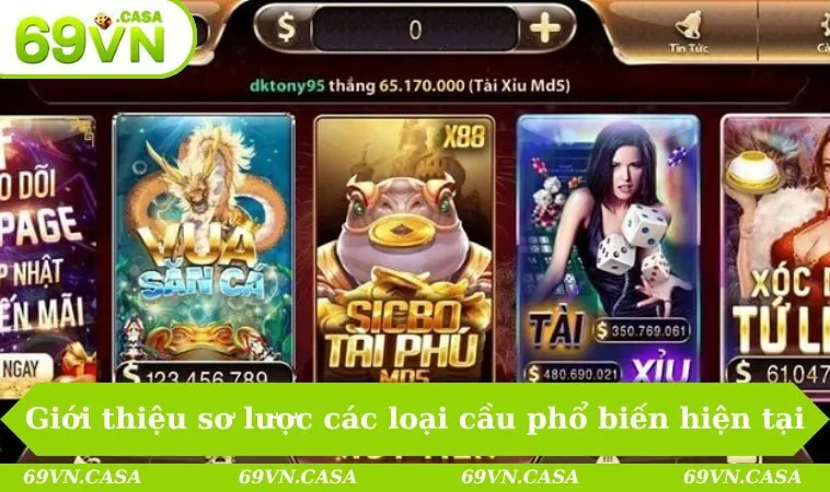 Giới thiệu sơ lược các loại cầu phổ biến hiện tại